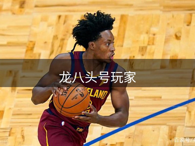 网站概况